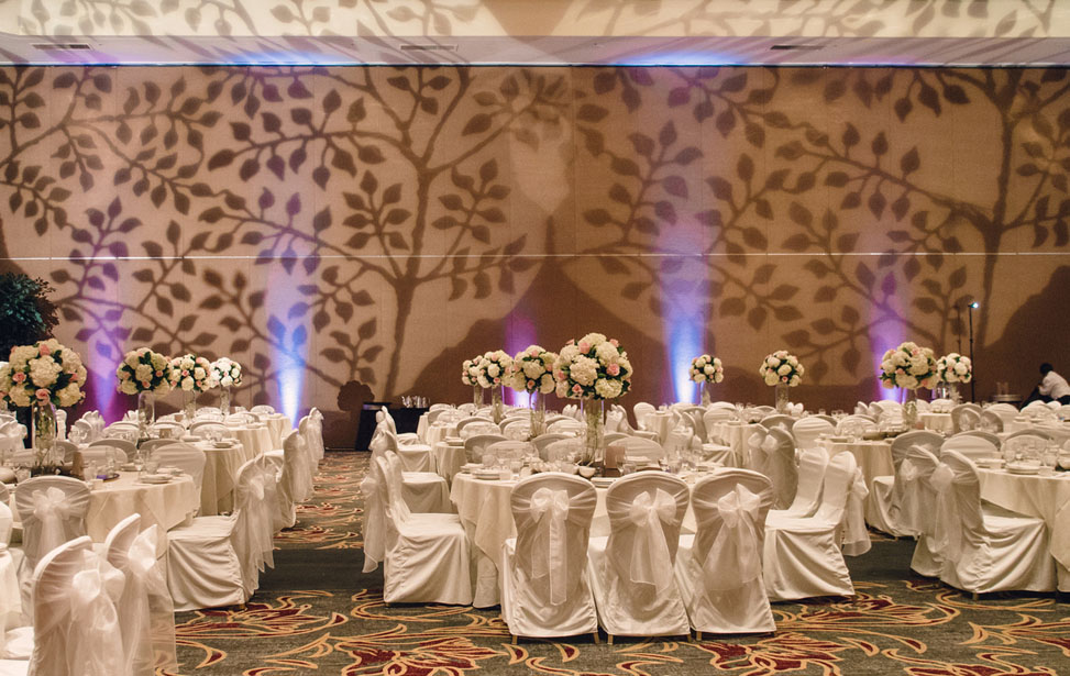 Music Mania Entertainment  (661) 618-6455 offers Party Lighting  to set the mood of your party. Serving Brentwood, San Fernando Valley, Antelope Valley, Los Angeles. 